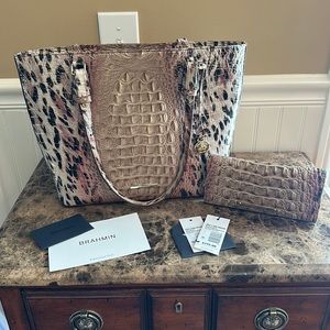 Brahmin Medium Misha Prowl Ombre & Ady Wallet